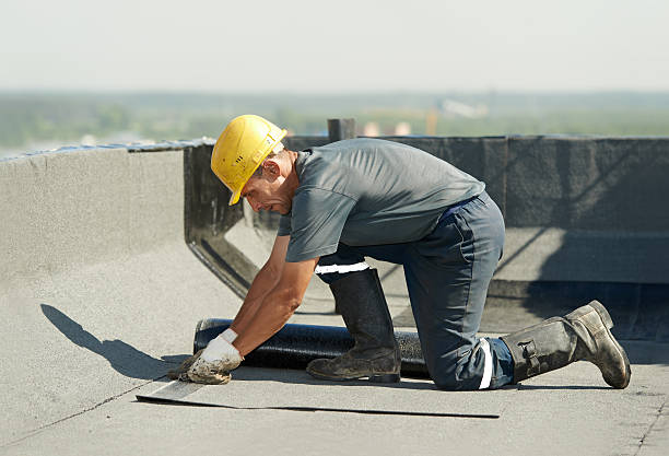 Best Insulation Installation Services in Underwood Petersville, AL